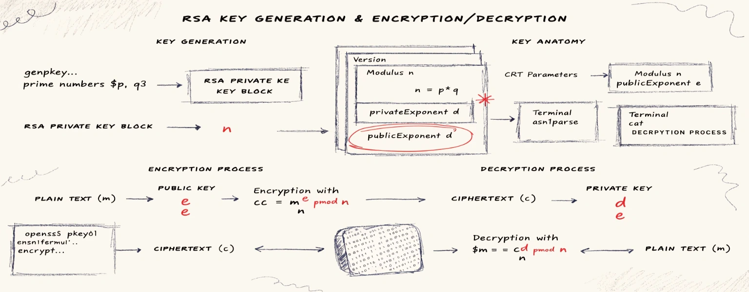 Alice doesn't know algebra